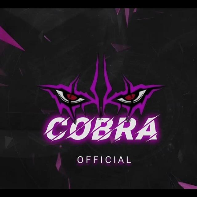 Cobra CHAT👋
