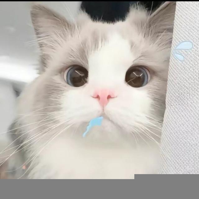 针孔 / 基站 项目交流群