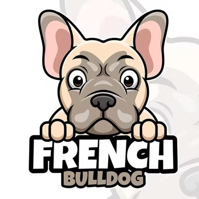 FRENCH BULLDOG PUPPIES FOR ADOPTION 󱢏