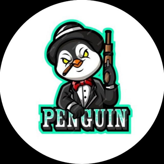 𝗣𝗲𝗻𝗴𝘂𝗶𝗻 𝗖𝗵𝗲𝗮𝘁🐧