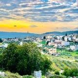 رصد عربونة