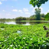 🇮🇷هم اندیشی اهالی آغوزبن💐🇮🇷 . آغوزبنی ها 🇮🇷💐🌷
