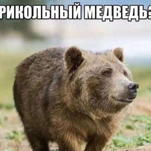 ебанный свинарник жлабов и нищих которые не хотят платить дань своему королю