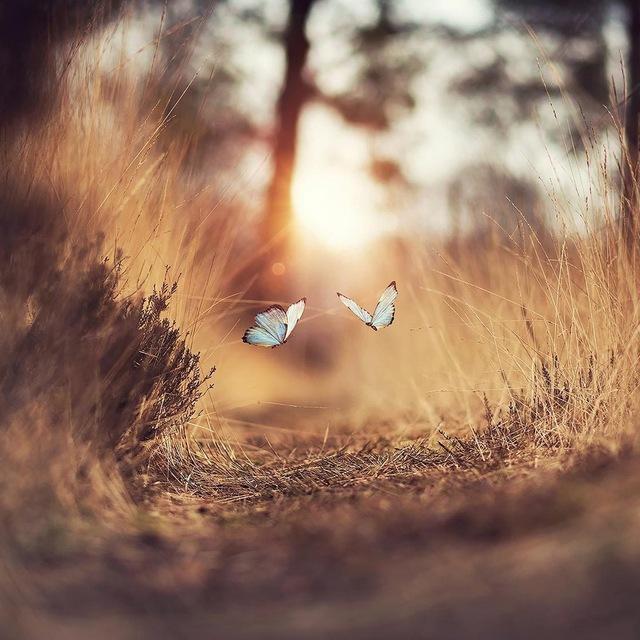 These Magic Moments