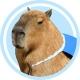 Capybara AI