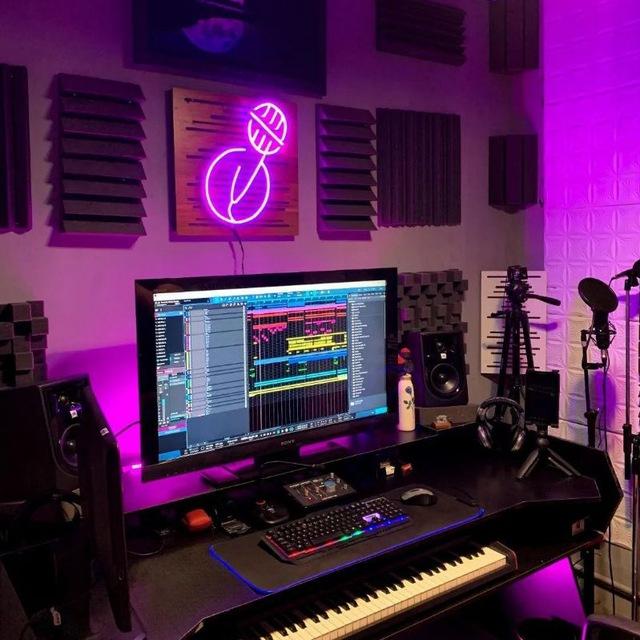VST & PLUGIN