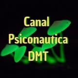Psiconautica, DMT, Psilocibina y Enteógenos