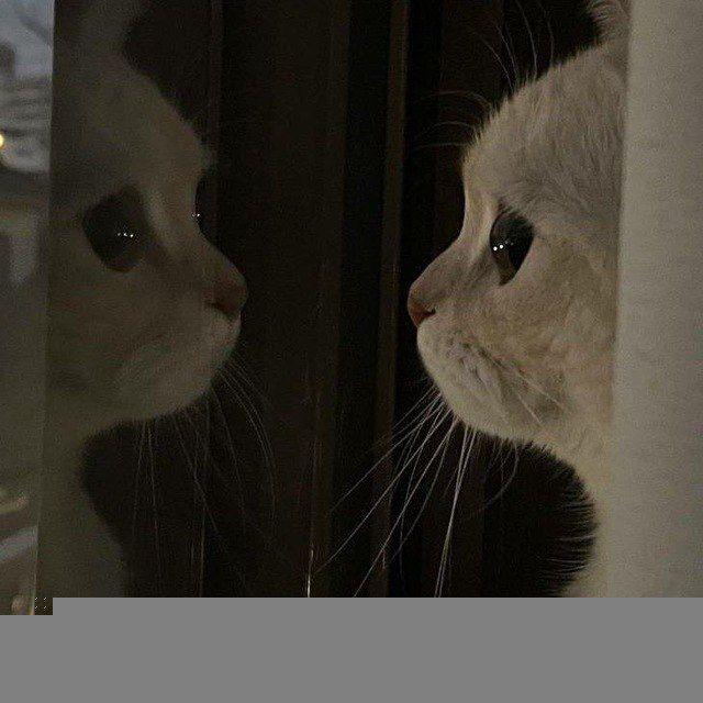 مُنعطــف .