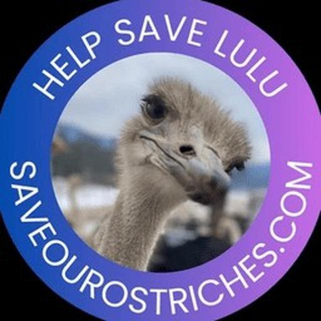 Lulu The Ostrich