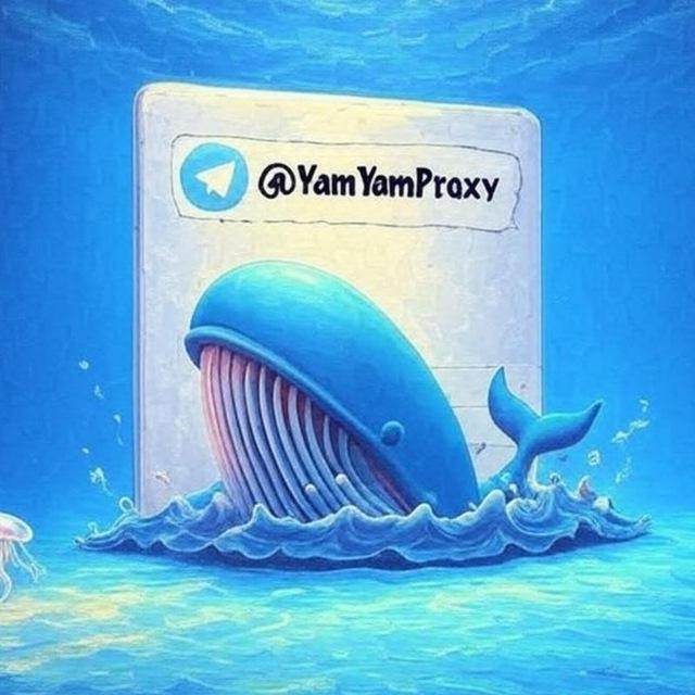 یام‌یام‌ پروکسی | کانفیگ proxy | VPN | v2ray