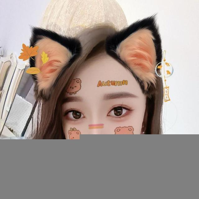 梦菲