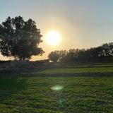 يحيى هتان (روح الهتان)