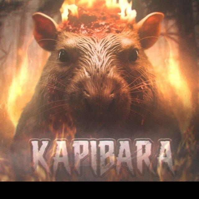 КАПИБАРА PROMO