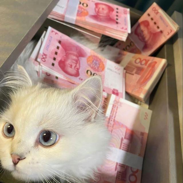 AJCDN全球服务器 CDN 加速 高防 游戏盾