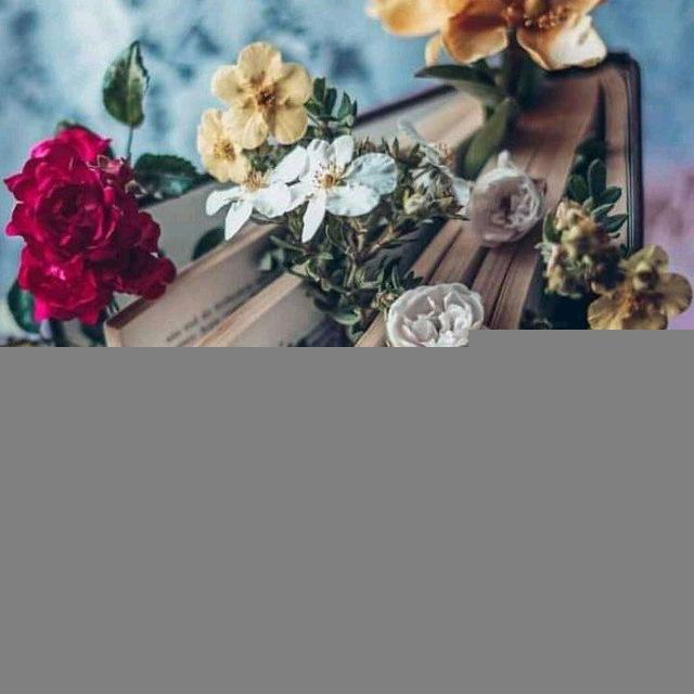 روايات pdf 🖇📚