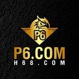 P6-VIP**
