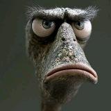 Smile_humor