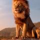 Le Cercle Des Lions 974