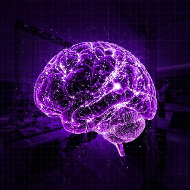 Rewire Your Brain