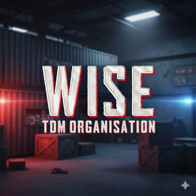 WISE PUBG MOBILE