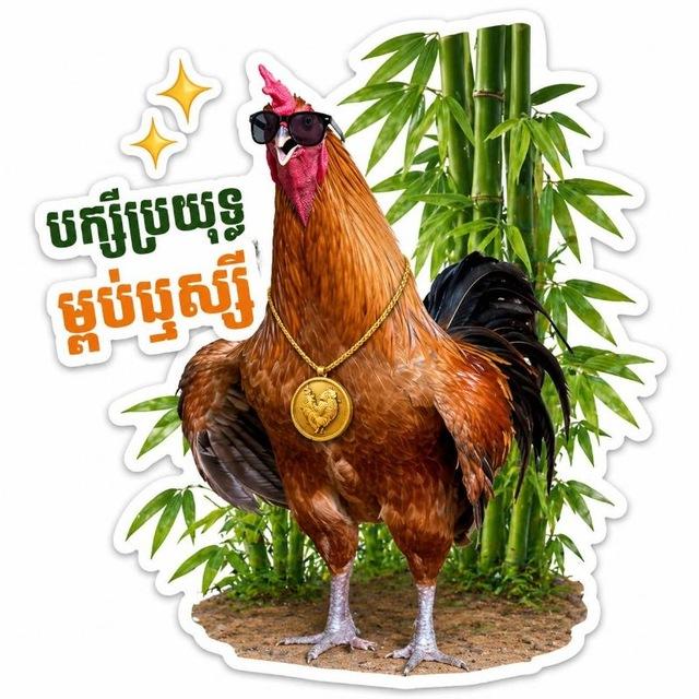 បង មុនីរត្ន័ បក្សីកីឡា(កំពង់ធំ)🐓🐓🐓🐓🐓🐓🐓🐓💞💞💞💞