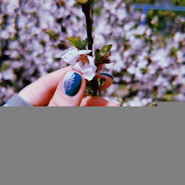 Гайды, стикеры, вдохновление 💚