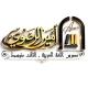 اللغة العربية | الاستاذ أمير الرضوي
