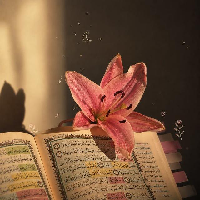 - مُواساة .