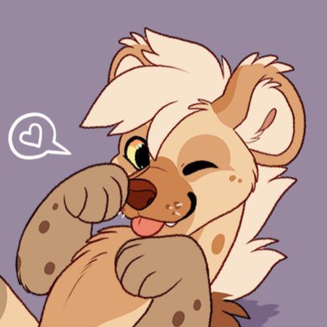 🪴 Kitchiki Updates 🌿