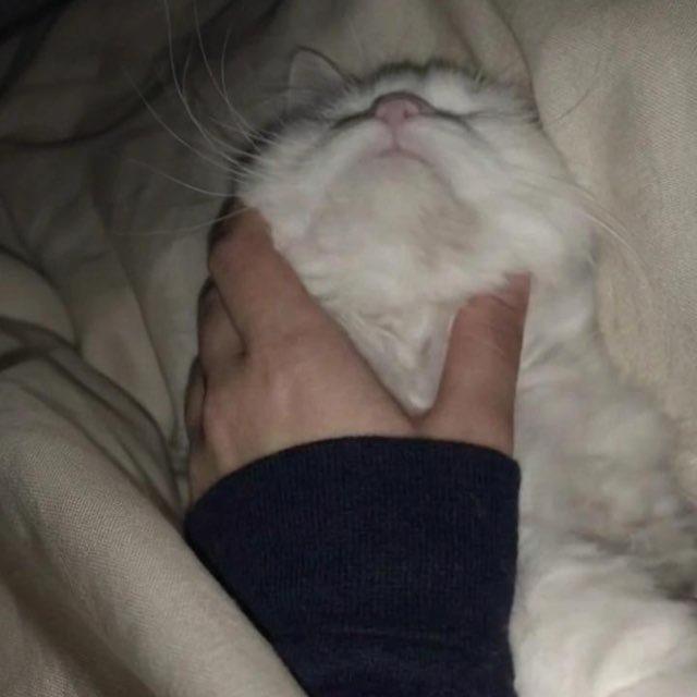 𝗦𝗨𝗥𝗘𝗦𝗛𝗢𝗧