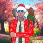 ROGERS YT || MRP