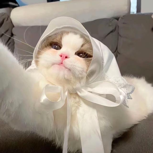 张不凡