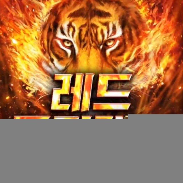레드 공지채널