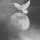صدای دل