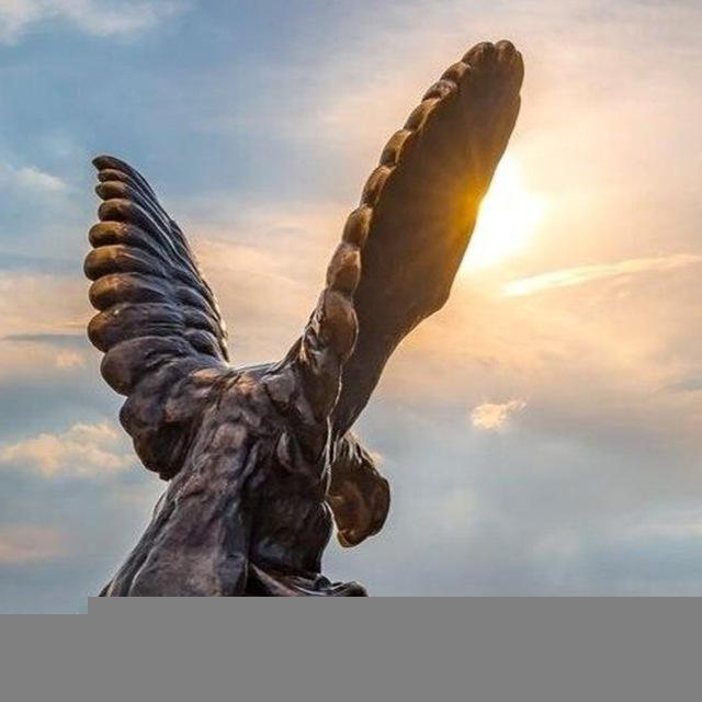 КМВ | Новости | Происшествия | Видео