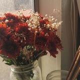 ✿𝘱𝘪𝘯𝘬 𝗰𝘪𝘨𝘢𝘳𝘦𝘵𝘵𝘦✿