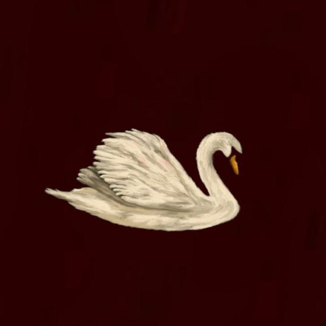 نَبأ.
