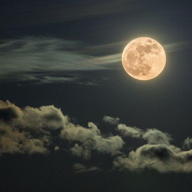 uooW🌒