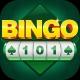 Bingo101|Info Hub