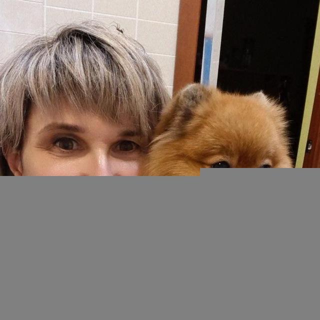 groomer24 Стрижка собак
