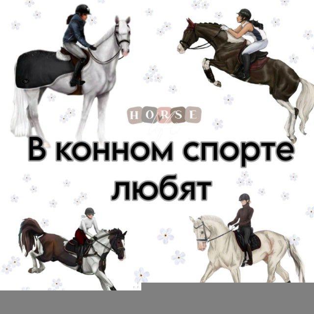 В конном спорте любят🌷