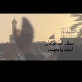 - شَذراتُ زيَنبيةة .