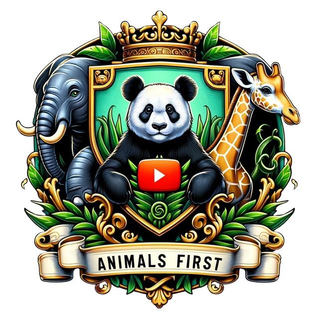Animals first chat