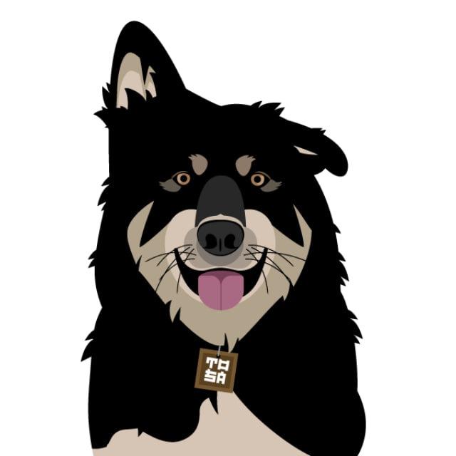 Tosa inu 土佐犬 🐶
