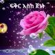 ፍቅር እስከ ጀነት (𝐑𝐚𝐦𝐚𝐬)
