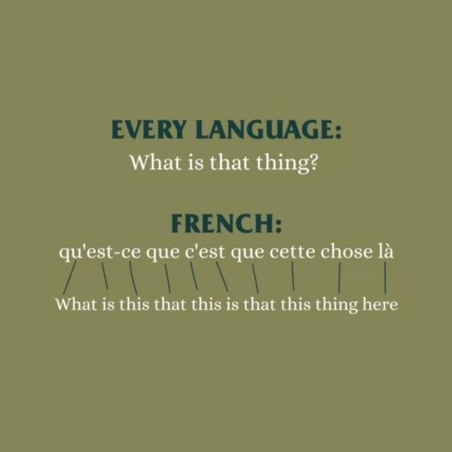 🇫🇷Fransuzcha_Français🇫🇷
