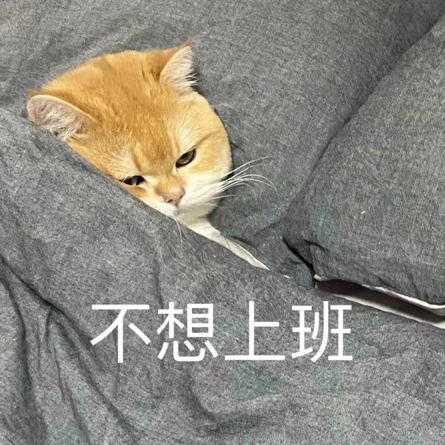 给所有打手一个家