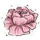 peony