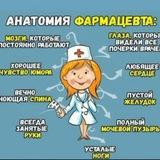 Анатомия фармацевта