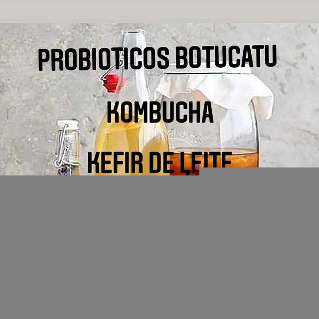 🍹🍵🍴KEFIR E KOMBUCHA PROBIOTICOS BOTUCATU🍴🍵🍹